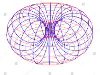 Understanding the Torus within&nbsp;Polarity